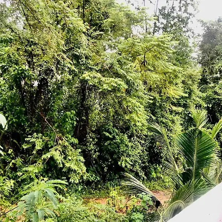 Cozy Home Galle Exterior photo